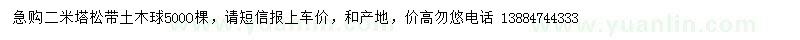 求購二米塔松