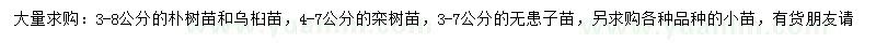 求購樸樹、烏桕、欒樹等