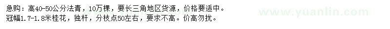 求購高40-50公分法青、冠幅1.7-1.8米桂花