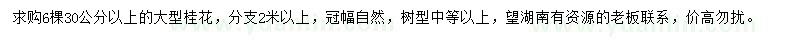 求購30公分以上大桂花