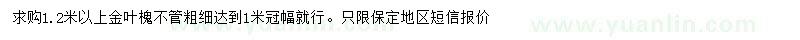 求購(gòu)1.2米以上金葉槐
