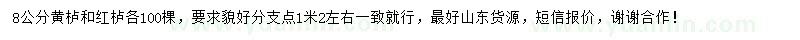 求購8公分黃櫨、紅櫨