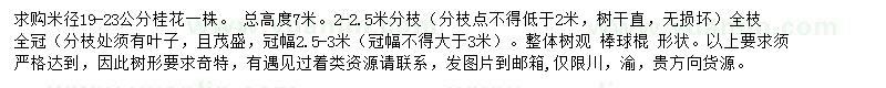 求購米徑19-23公分桂花