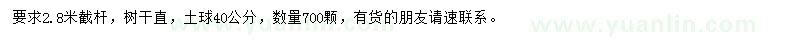 求購米徑8公分樂昌含笑