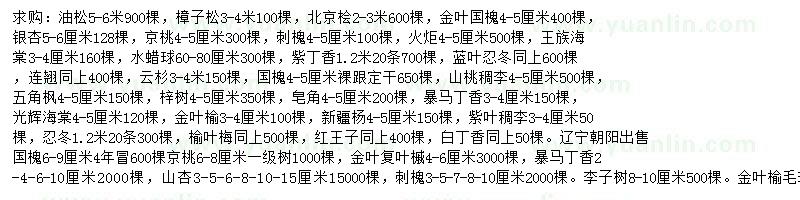 求購油松、樟子松、北京檜等
