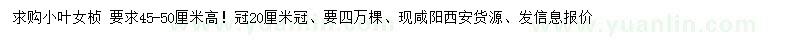 求購高45-50公分小葉女貞