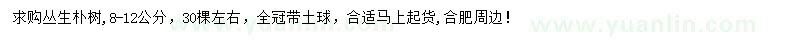 求購8-12公分叢生樸樹