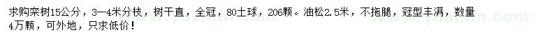 求購(gòu)欒樹、油松