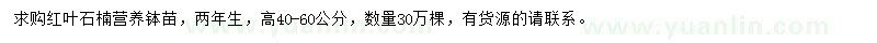 求購高40-60公分紅葉石楠小苗