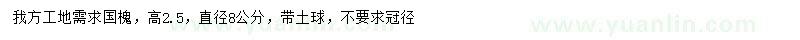 求購8公分國槐