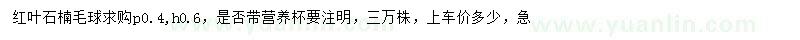 求購(gòu)高0.6公分紅葉石楠毛球