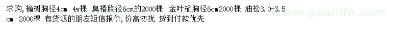 求購榆樹、臭椿、金葉榆等