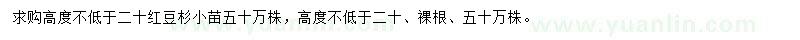 求購高20公分紅豆杉小苗