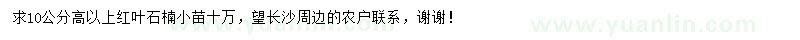 求購(gòu)高10公分以上紅葉石楠小苗