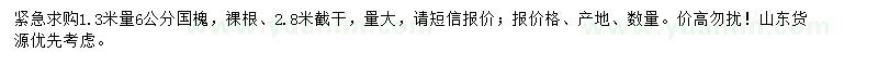 求購1.3米量6公分國槐
