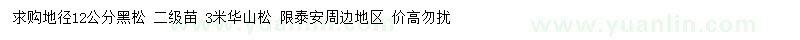 求購地徑12公分黑松、3米華山松