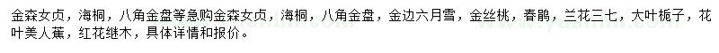 求購(gòu)金森女貞、海桐、八角金盤等