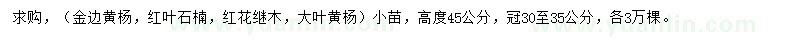求購(gòu)金邊黃楊、紅葉石楠、紅花繼木等