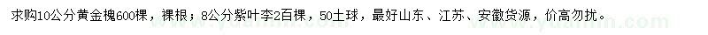 求購10公分黃金槐、8公分紫葉李