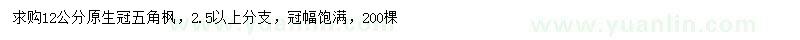 求購12公分原生冠五角楓