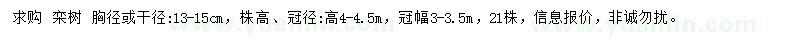 求購(gòu)胸徑13-15公分欒樹(shù) 