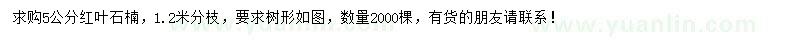 求購(gòu)5公分紅葉石楠