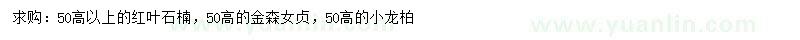 求購紅葉石楠、金森女貞、小龍柏