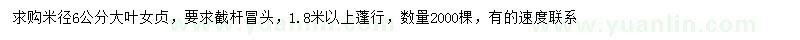 求購米徑6公分大葉女貞