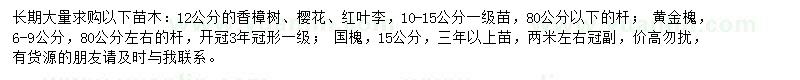 求購香樟、櫻花、紅葉李等