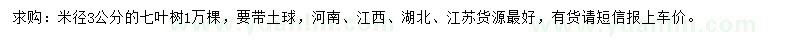 求購米徑3公分七葉樹