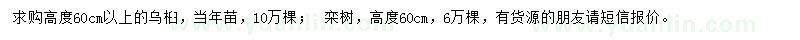 求購高60公分以上烏桕、欒樹