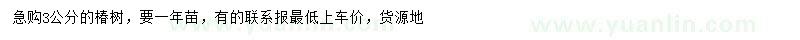 求購3公分椿樹