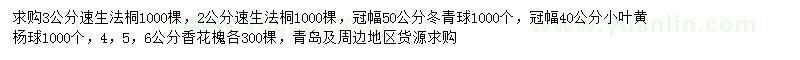 求購速生法桐、冬青球、小葉黃楊球等