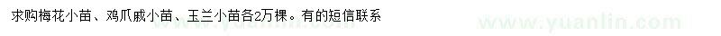 求購梅花小苗、雞爪戚小苗、玉蘭小苗