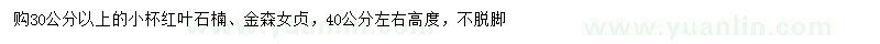 求購高30公分以上紅葉石楠、40公分左右金森女貞小苗