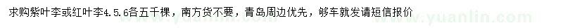 求購(gòu)4、5、6公分紫葉李、紅葉李