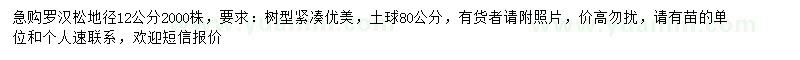 求購地徑12公分羅漢松