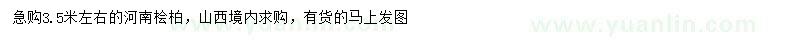 求購(gòu)3.5米左右河南檜柏