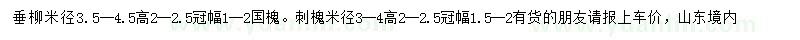 求購(gòu)垂柳、國(guó)槐、刺槐