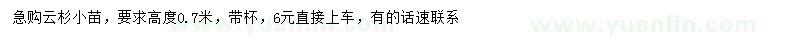 求購(gòu)高0.7米云杉小苗