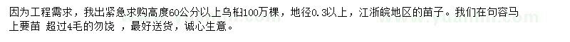 求購高度60公分以上烏桕