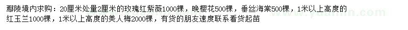 求購玫瑰紅紫薇、晚櫻花、垂絲海棠