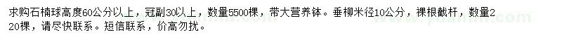 求購高60公分以上石楠球、10公分垂柳