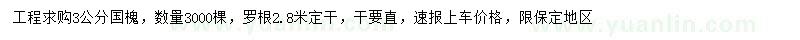 求購3公分國槐