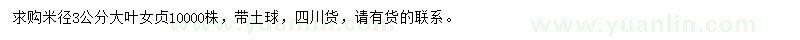 求購米徑3公分大葉女貞