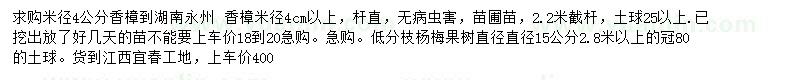 求購(gòu)米徑4公分香樟、15公分楊梅樹(shù)