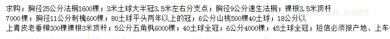 求購法桐、速生法桐、刺槐等
