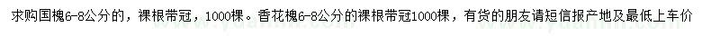 求購(gòu)6-8公分國(guó)槐、香花槐
