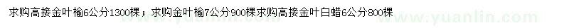 求購(gòu)6公分金葉榆、金葉白蠟