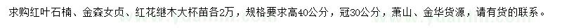 求購紅葉石楠、金森女貞、紅花繼木大杯苗